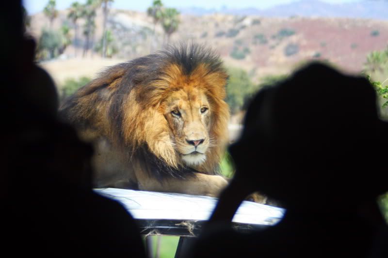 IMAGE: http://i88.photobucket.com/albums/k173/ryant35/IMG_3370.jpg