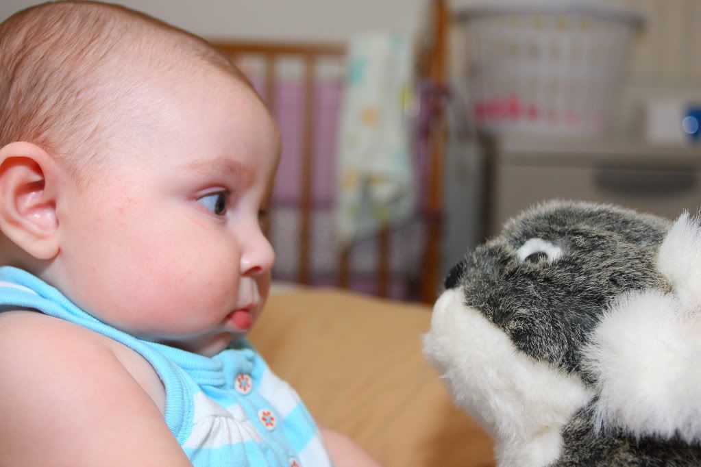 IMAGE: http://i88.photobucket.com/albums/k173/ryant35/IMG_3463.jpg