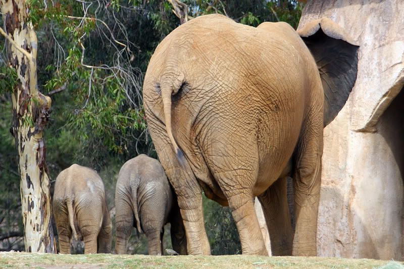 IMAGE: http://i88.photobucket.com/albums/k173/ryant35/IMG_3786.jpg