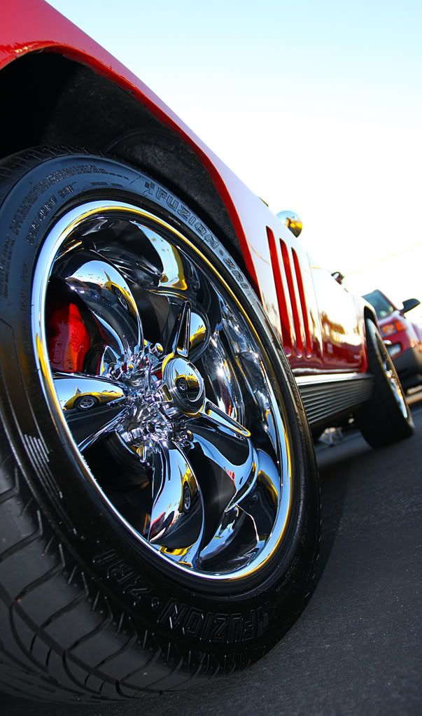 IMAGE: http://i88.photobucket.com/albums/k173/ryant35/IMG_4306-1.jpg