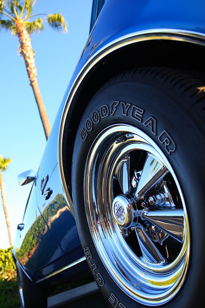 IMAGE: http://i88.photobucket.com/albums/k173/ryant35/IMG_4318.jpg