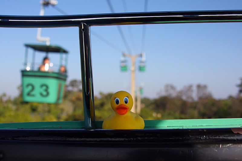 IMAGE: http://i88.photobucket.com/albums/k173/ryant35/IMG_4343.jpg