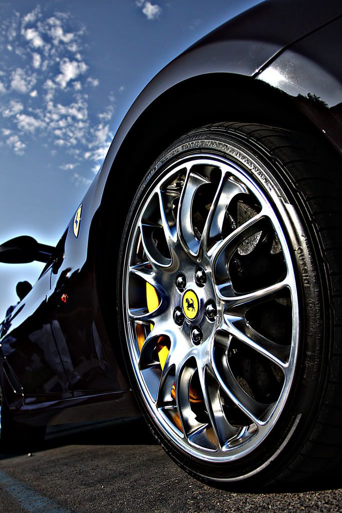 IMAGE: http://i88.photobucket.com/albums/k173/ryant35/IMG_4647-1.jpg