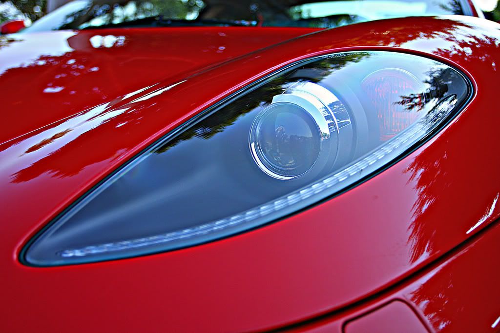 IMAGE: http://i88.photobucket.com/albums/k173/ryant35/IMG_4770-1.jpg