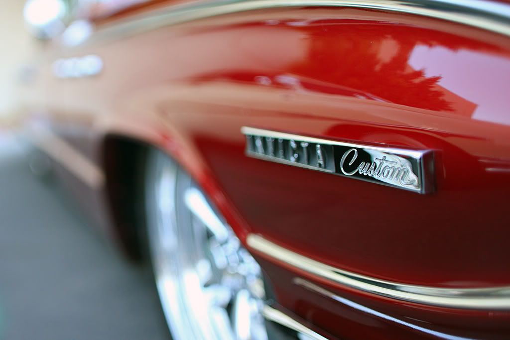 IMAGE: http://i88.photobucket.com/albums/k173/ryant35/IMG_8416.jpg