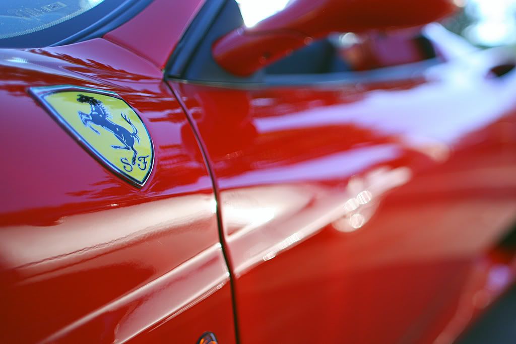 IMAGE: http://i88.photobucket.com/albums/k173/ryant35/IMG_8466.jpg