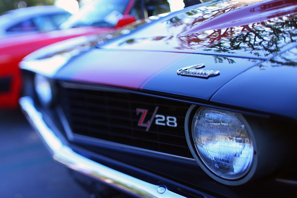 IMAGE: http://i88.photobucket.com/albums/k173/ryant35/IMG_8472.jpg