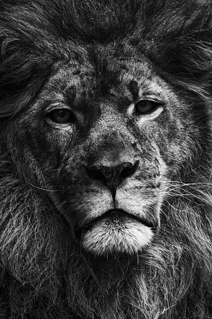 IMAGE: http://i88.photobucket.com/albums/k173/ryant35/IMG_8808-1-1.jpg