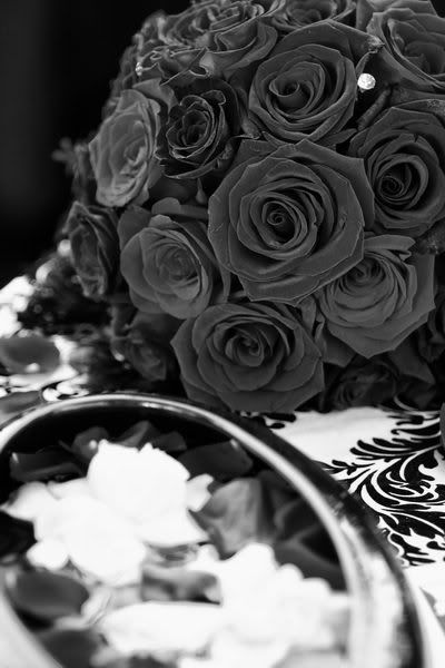 IMAGE: http://i88.photobucket.com/albums/k173/ryant35/Wedding/6820_1262150073988_1236793228_77567.jpg