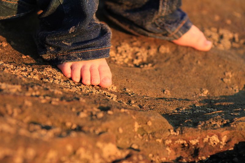 IMAGE: http://i88.photobucket.com/albums/k173/ryant35/ryant35002/RT2_5360_zpsee818bd1.jpg