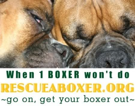 LogoTemplate-1boxer_sm.jpg