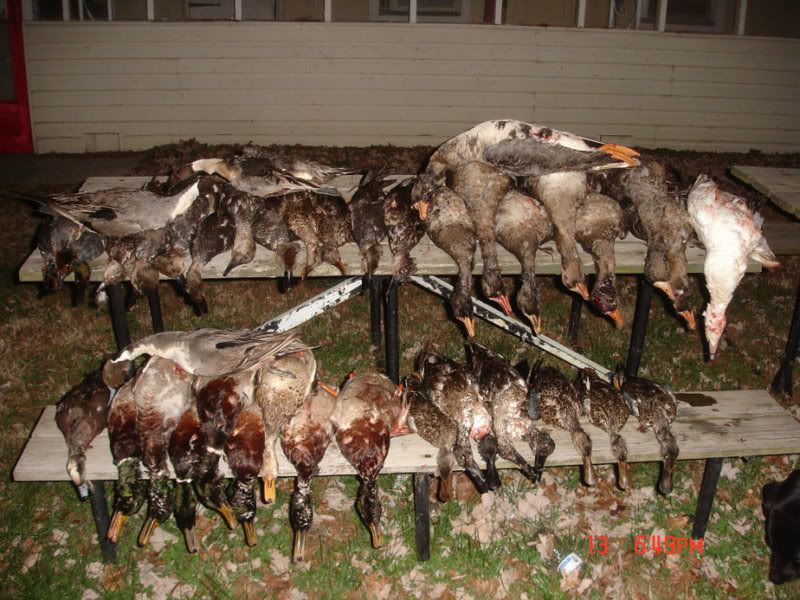 lil video from last season Duck Hunting Forum