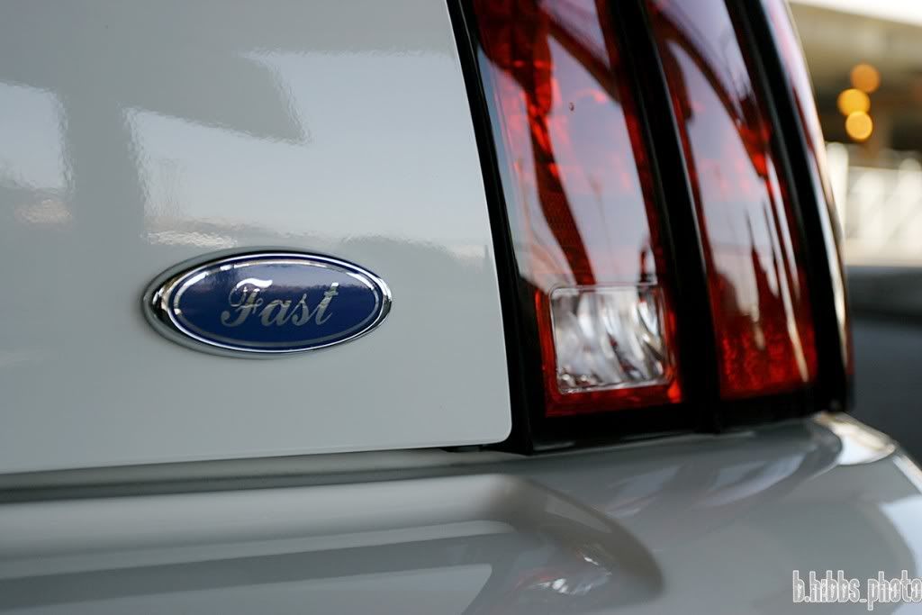 [Image: lloyd20.jpg]