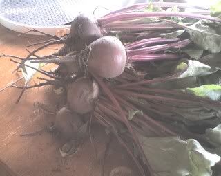 Beet