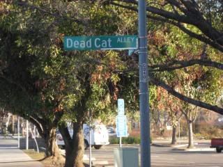 dead cat alley