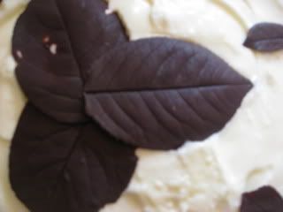 chocolate leaves