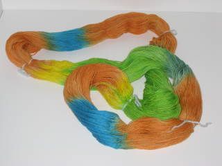 Lorikeet yarn