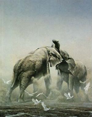 sparring-elephants-print-1.jpg