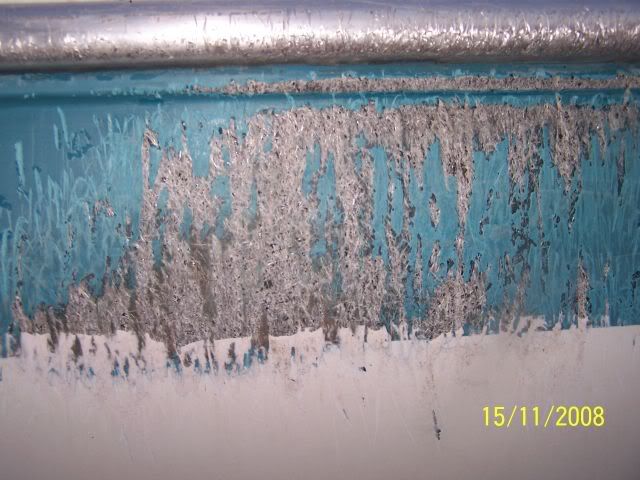 100_1141.jpg