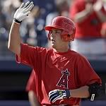Bourjos-1.jpg picture by chuckster70