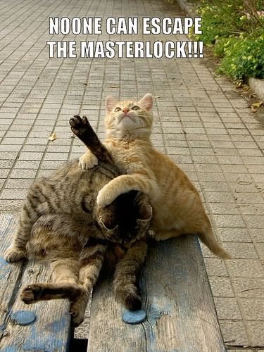cat_masterlock.jpg