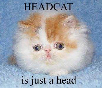 head-cat.jpg