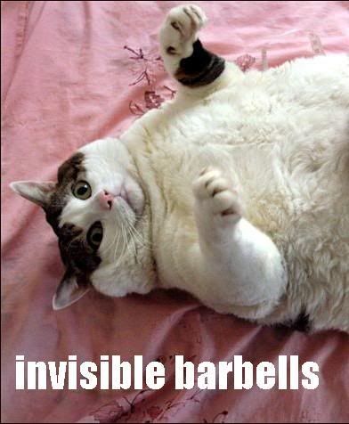 invisiblebarbells.jpg