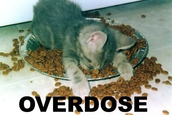 overdose.jpg