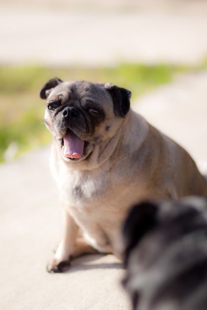 IMAGE: http://i88.photobucket.com/albums/k176/tronvex/Random/IMG_1827.jpg