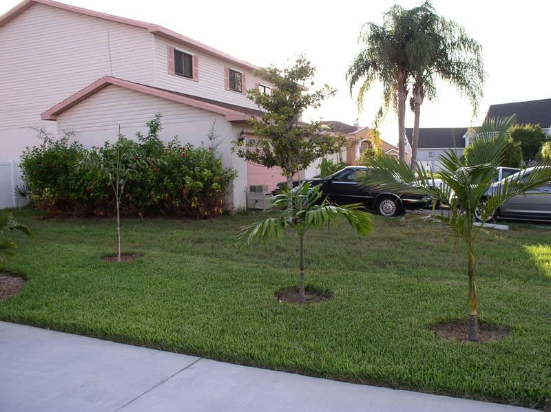 July132007004.jpg