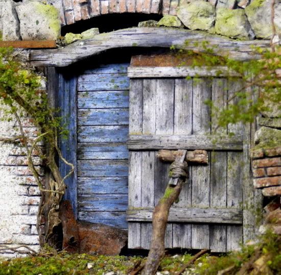 :: Thema anzeigen - Schnapskeller