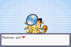 Oh, like I'd waste a TM on a Meowth.