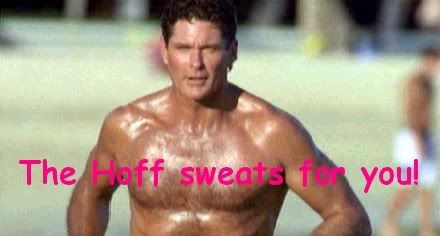 hoff2.jpg