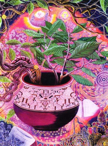 Ayahuasca