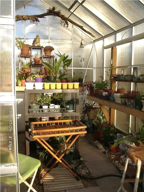 Green house plant layout Green house plant layout