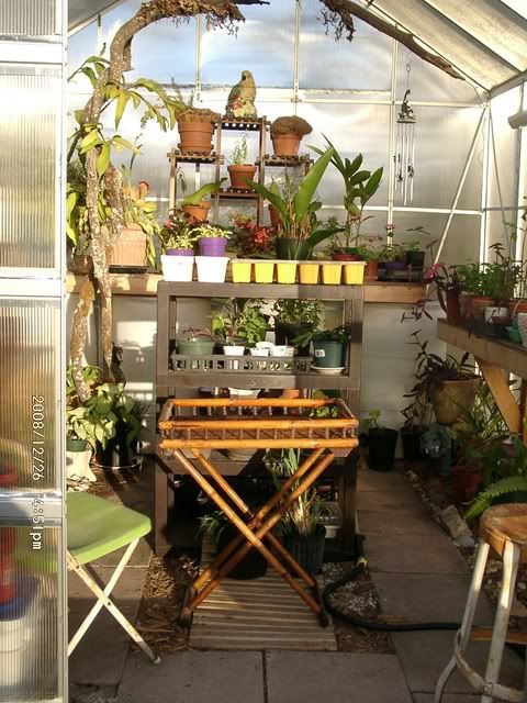 greenhouse