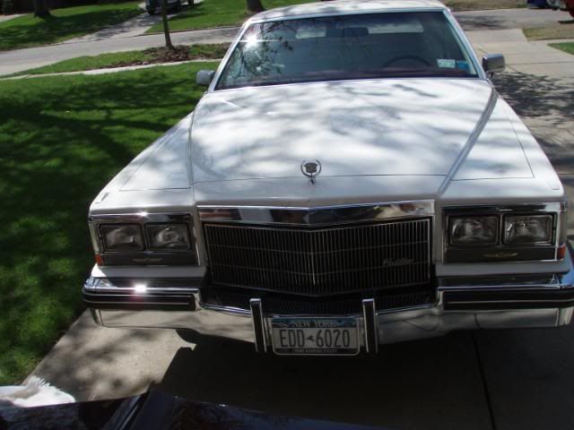 http://i88.photobucket.com/albums/k183/nelnova/002-9.jpg
