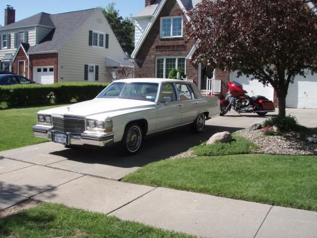 http://i88.photobucket.com/albums/k183/nelnova/004-10.jpg