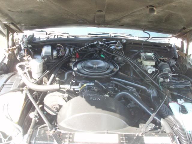 http://i88.photobucket.com/albums/k183/nelnova/005-8.jpg