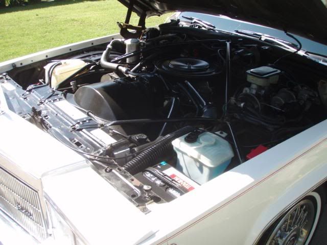 http://i88.photobucket.com/albums/k183/nelnova/006-5.jpg