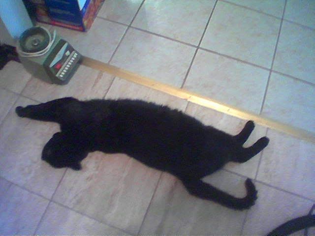 Photo Sharing and Video Hosting at Photobucket