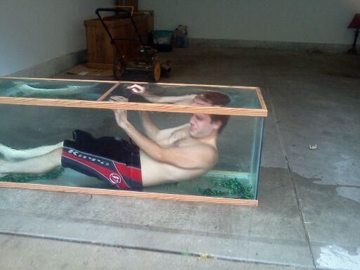 swimming photo: My life just got a whole lot better I'm swimming in my fish tank ) 316927_10150269991332447_6231077_n.jpg