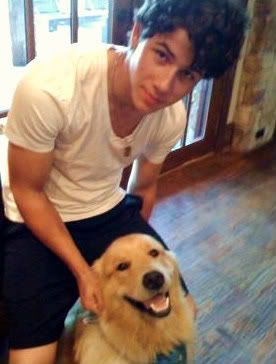 jonas brothers just joe