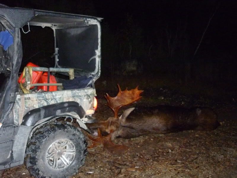 Fender flares Yamaha Rhino Forum