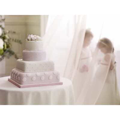 Pics Wedding Cakes on Square Wedding Cakes   Anyone Got Any Pics   Wedding Planning