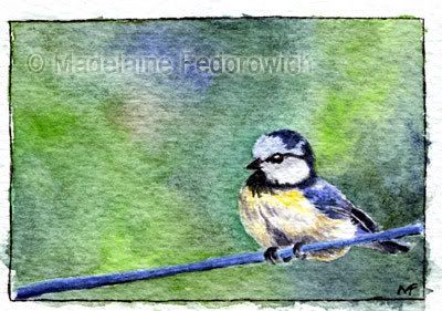 Bird on a Wire ACEO