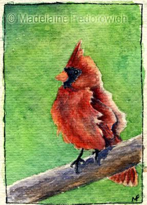 Cardinal Bird ACEO