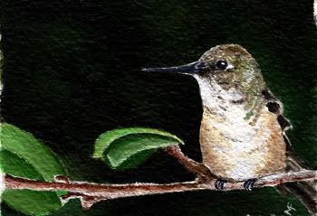 acrylic hummingbird painting