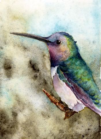 watercolor hummingbird painting