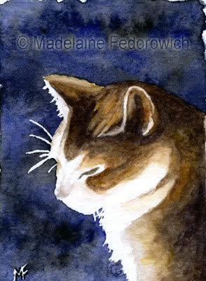 Content Cat ACEO